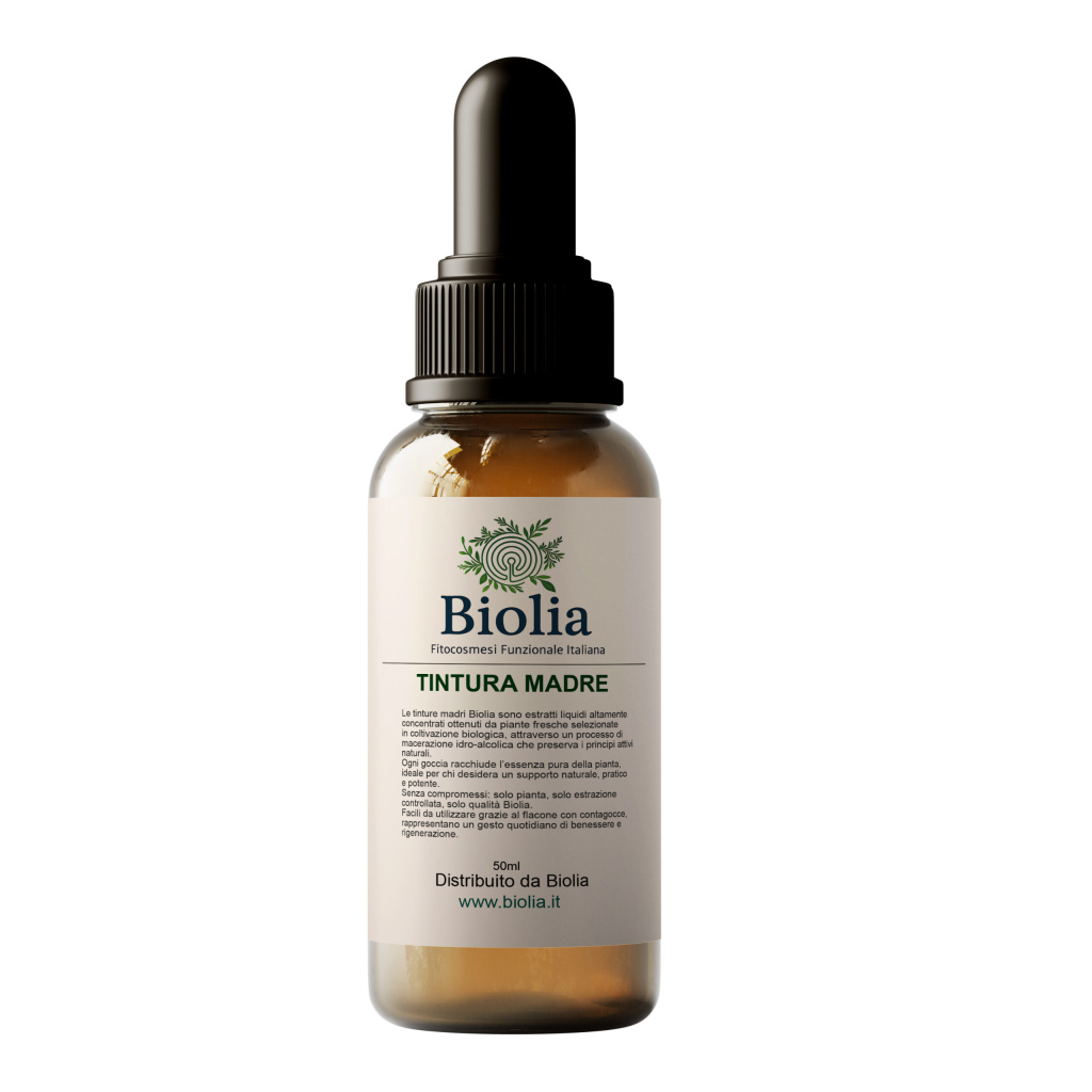 DigestivAngelica Tintura