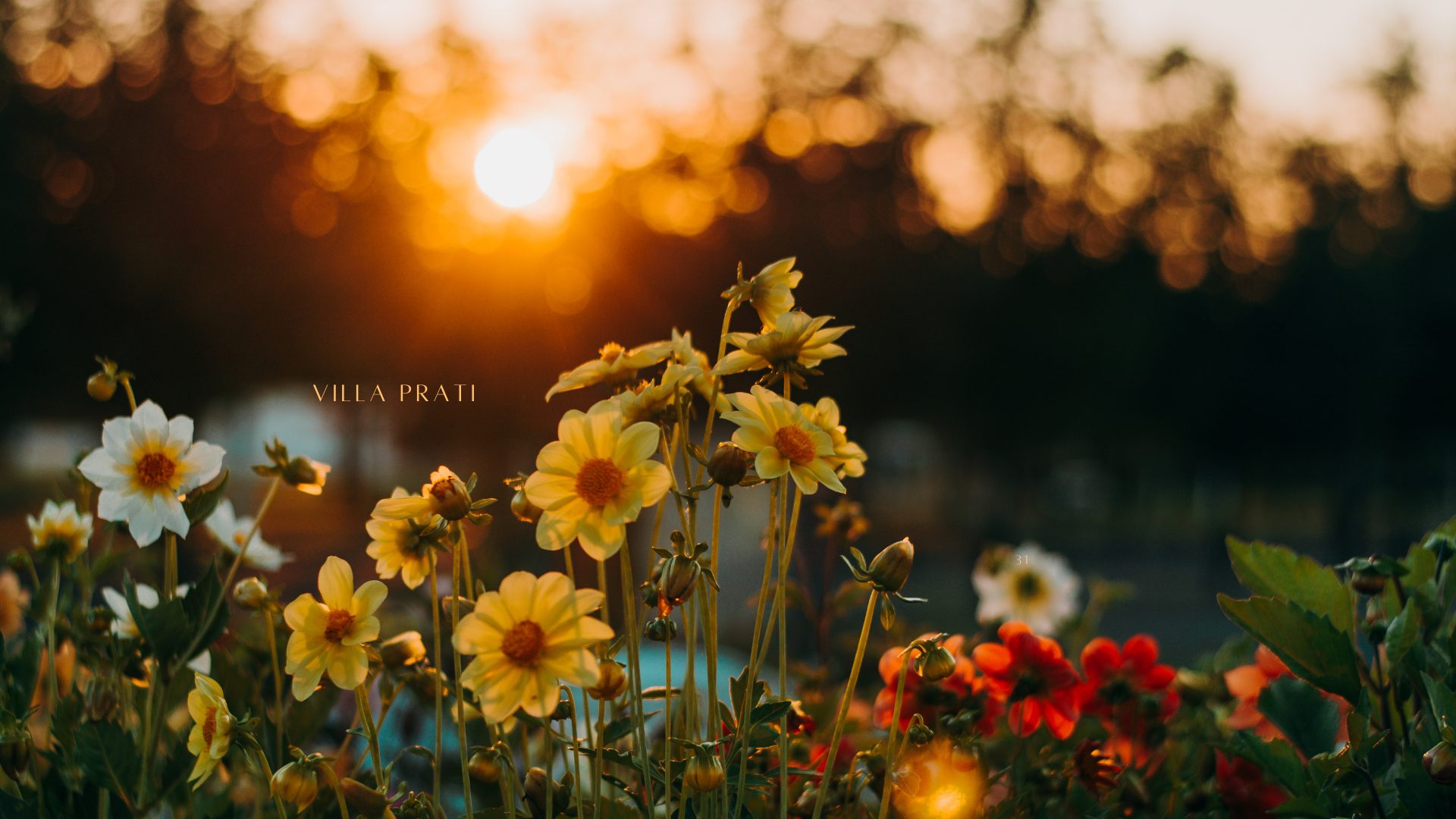 Villa Prati, campi al sorgere del sole
