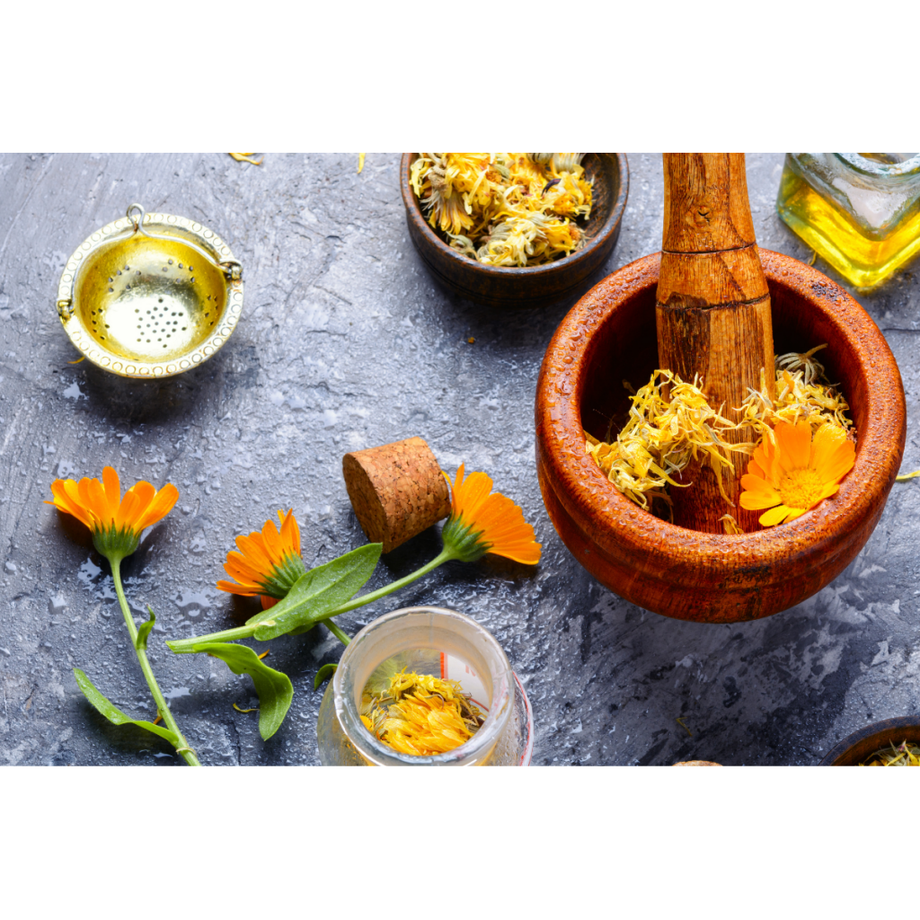 Mortaio con fiori di calendula essiccati olio essenziale preparazione erboristica