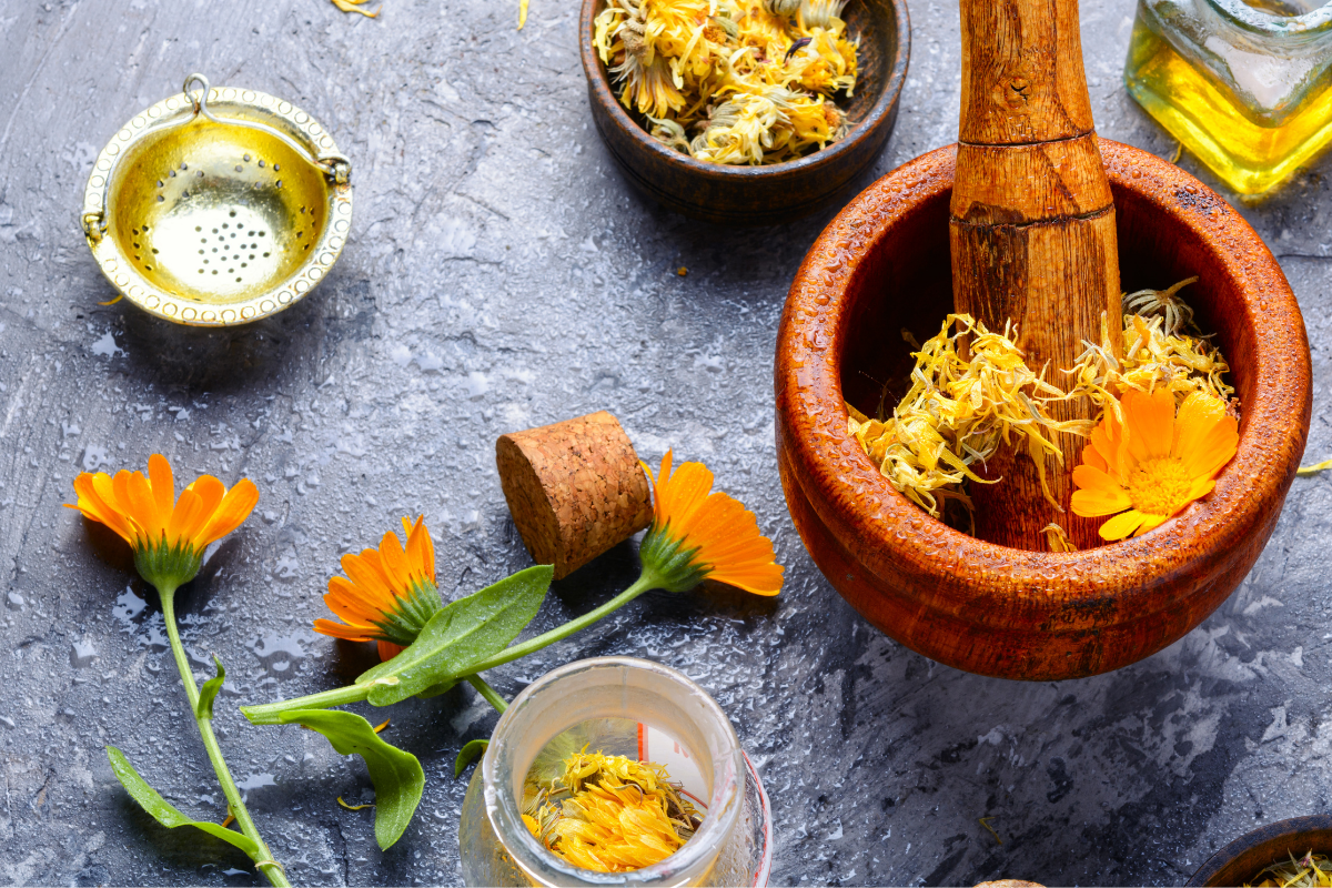 Fiori di Calendula officinalis in piena fioritura con petali arancioni