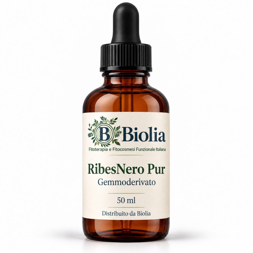 RibesNero Pur Gemmoderivato 50 ml