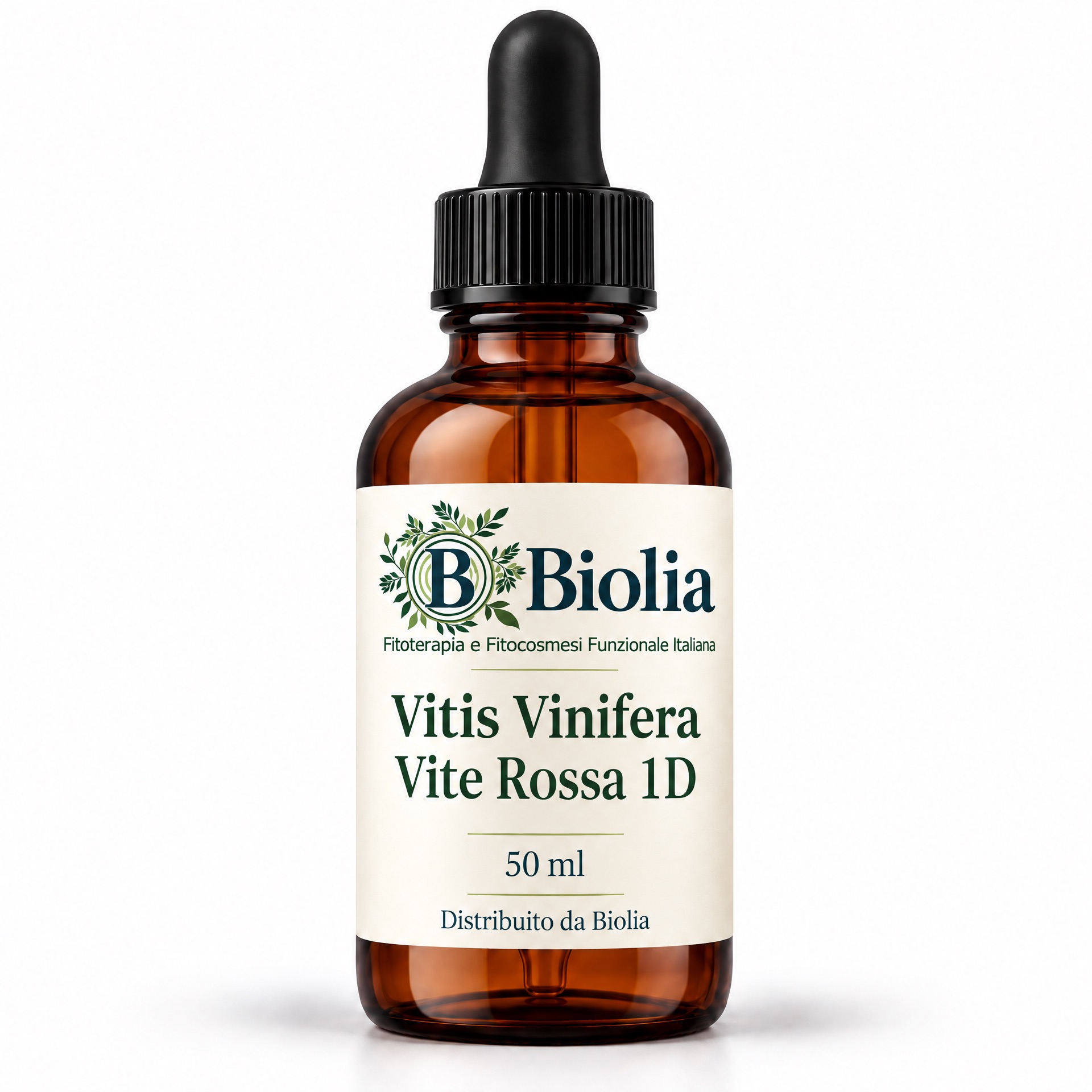 Vitis Vinifera -Vite Rossa 1D